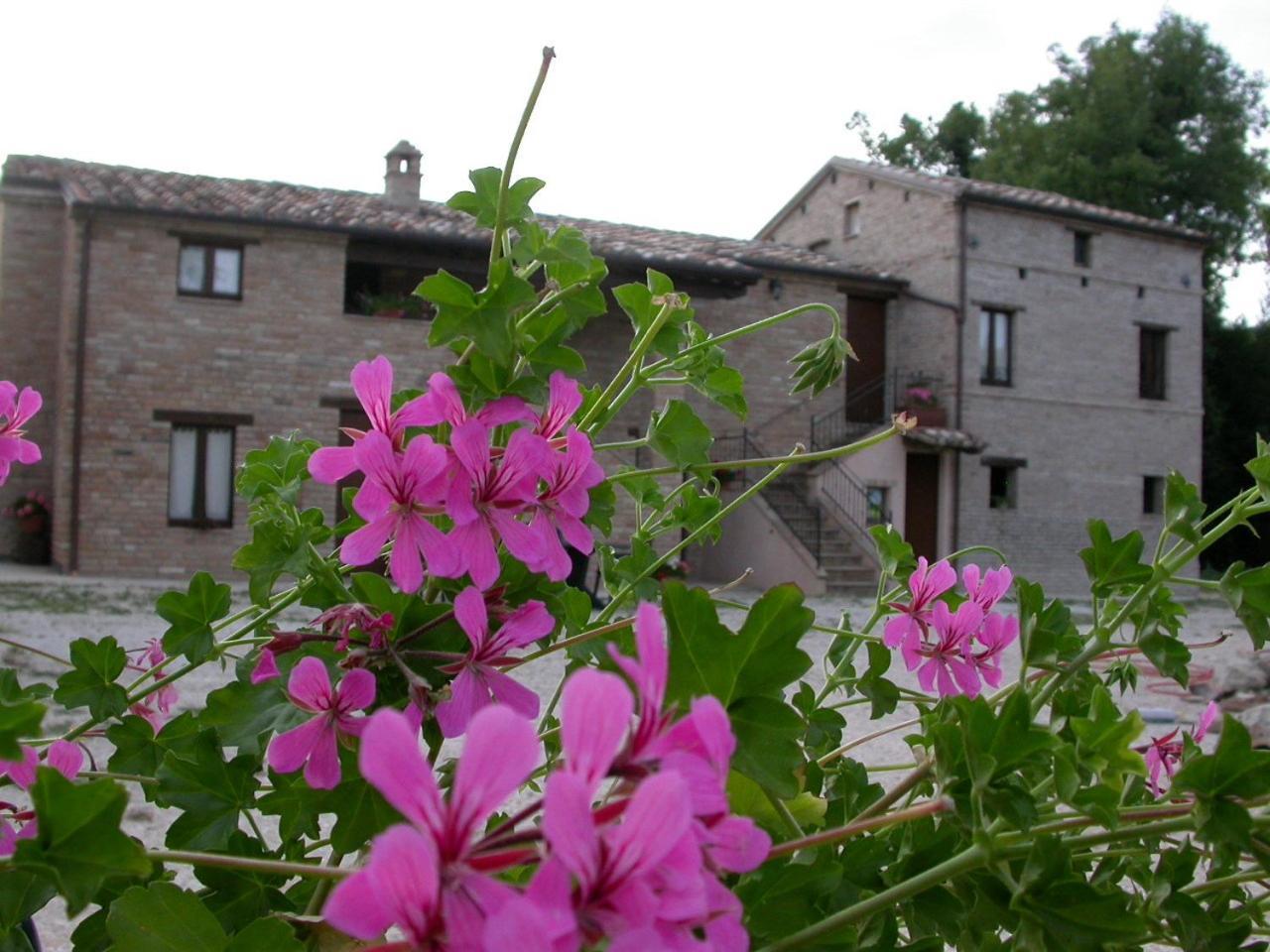 Antica Dimora Pension Sarnano Buitenkant foto
